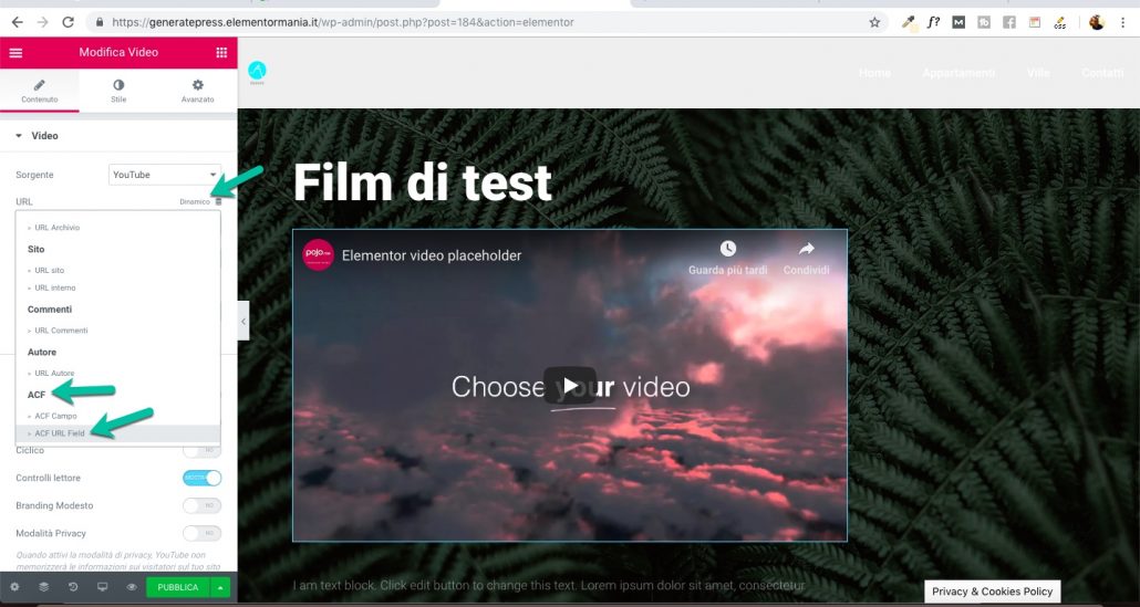 ACF url Video